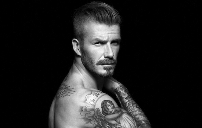 david