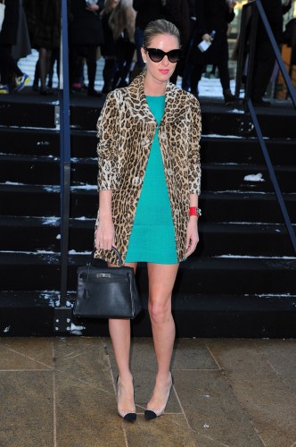 animal print 2