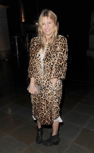 animal print 3
