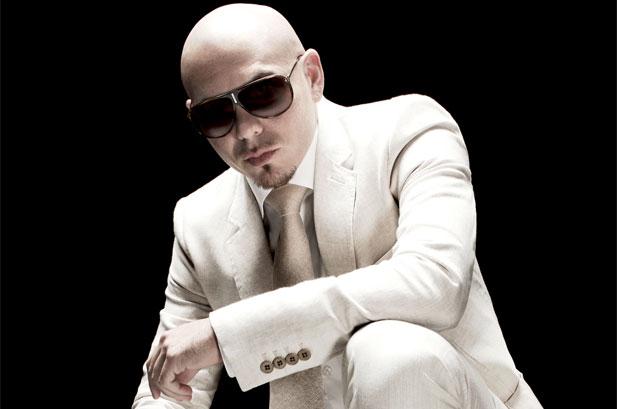pitbul