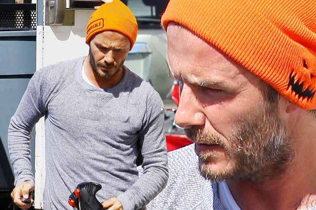 Becks-main-3398852