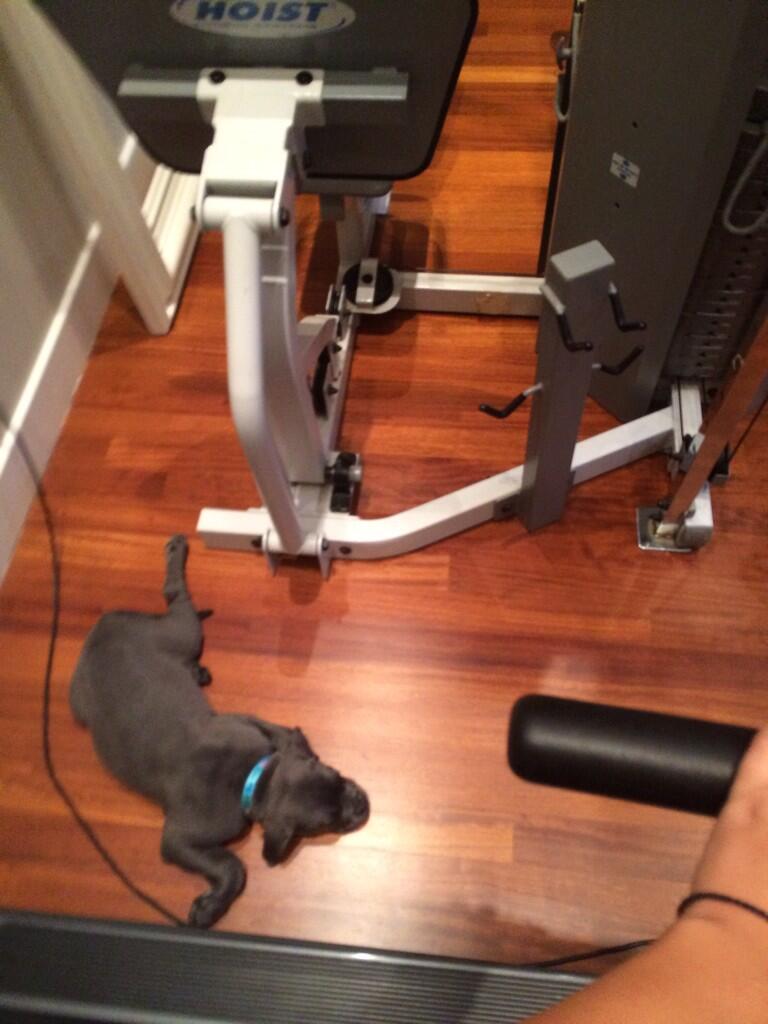 spiropoulougym