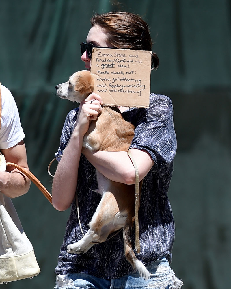 EXCLUSIVE: Anne Hathaway and Adam Shulman hold signs in front of their faces on a beautiful day in Brooklyn, NY