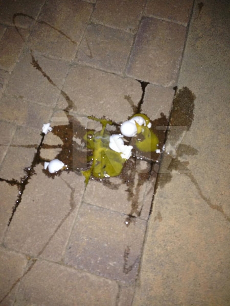 bieber-egging-1-480w