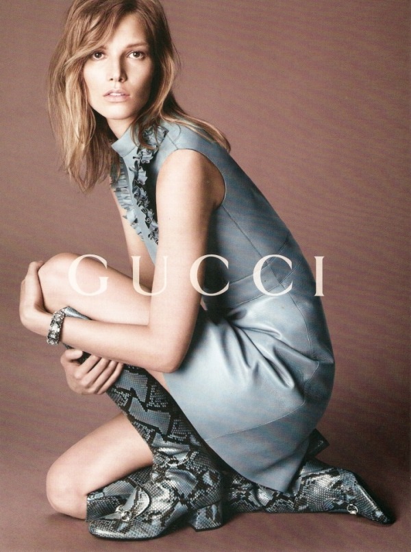 cucci3