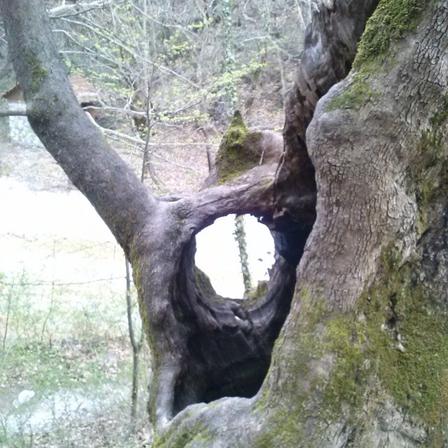 aslanidou apodrasi 1