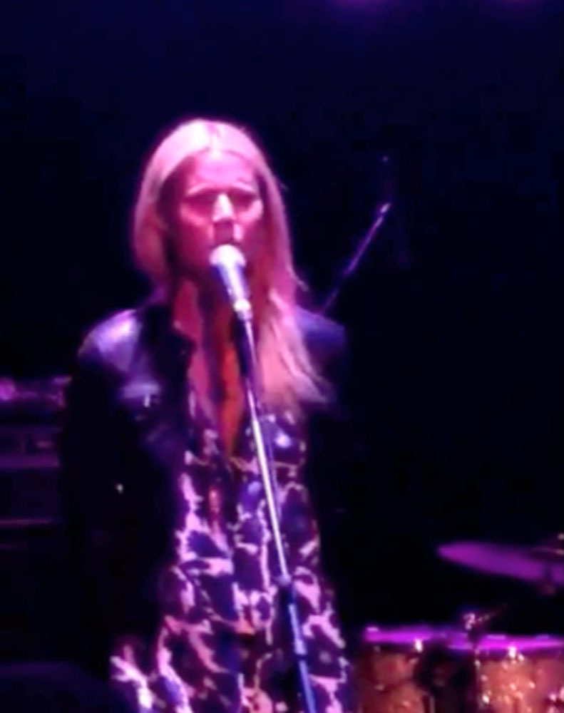 Gwyneth Paltrow performs country songs at Los Angeles concert