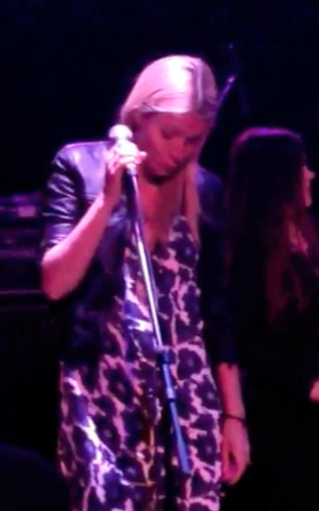 Gwyneth Paltrow performs country songs at Los Angeles concert