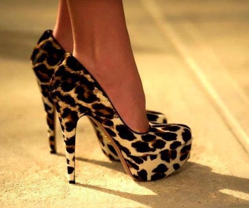 leopard