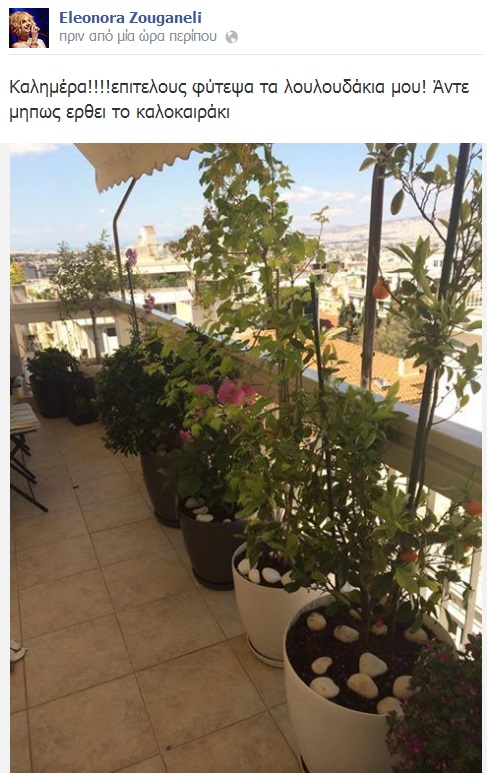 zouganeli_8